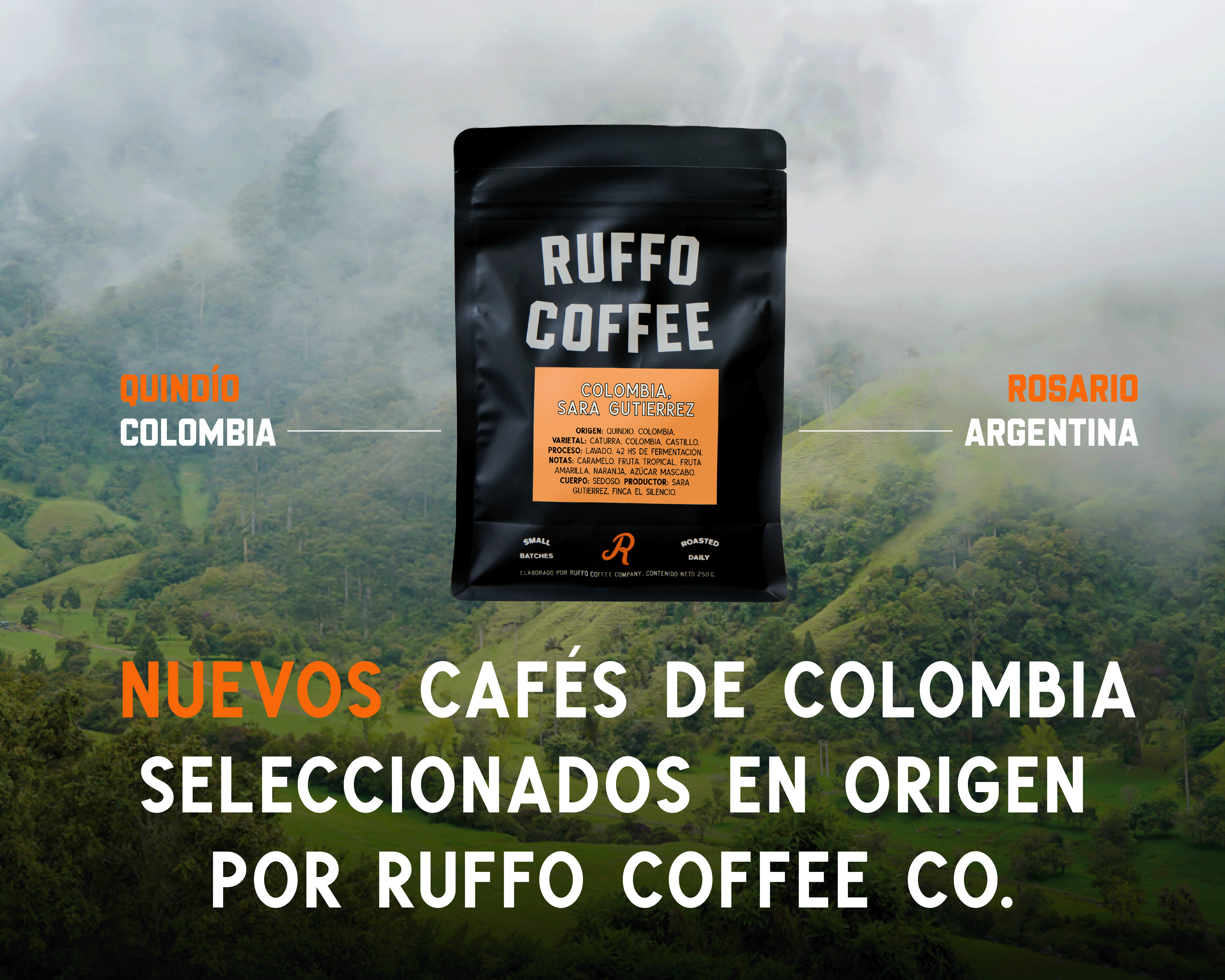 Nuevos cafés de Colombia